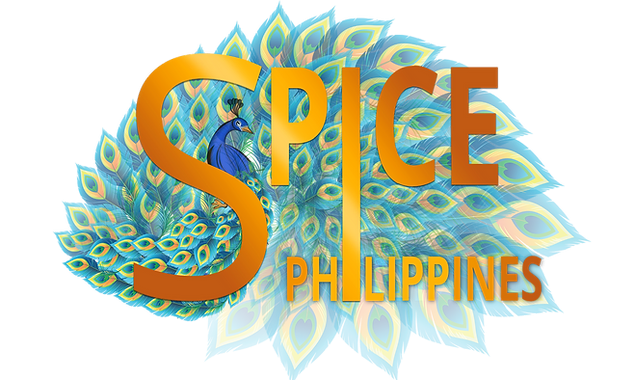 logo of spice philippines 2024